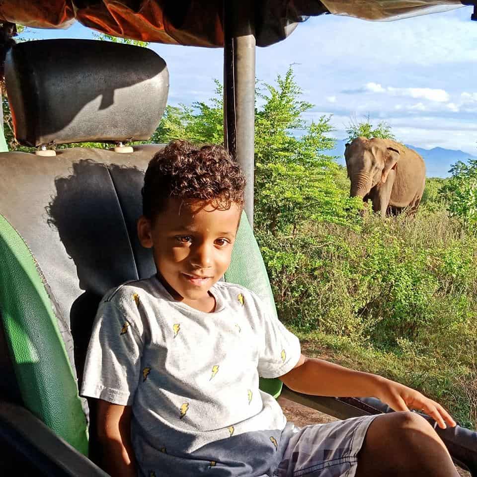 A boy sitting in a car with an elephant in the background.